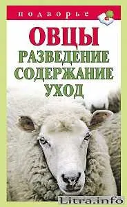 Читати онлайн Вівці читати