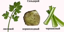 супа отслабване