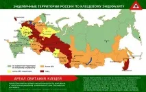 Що робити якщо вкусив кліщ перша допомога та послідовність дій Якщо