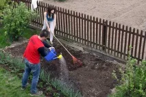 За півтора роки дачні товариства зникнуть, а дачники залишаться - українська газета товариства