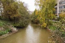 регистрацията коренно
