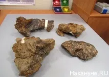 чебаркульський