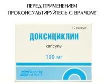 Що робити якщо вкусив кліщ перша допомога та послідовність дій вкусив