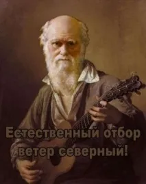 случва случва