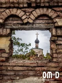 Брушша Монакова професіонал Digital Art про бездзеркалки Olympus професіонал