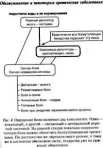 здорове