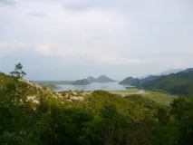 какво гора