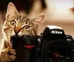фотографа фотографа