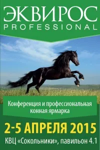 Крок коня крок