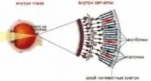 хоризонталната равнина хоризонталната равнина