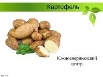 Селекція рослин – презентація (методи) селекція
