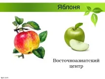 Селекція рослин – презентація (методи) рослин