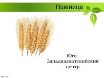 Селекція рослин – презентація (методи) селекція