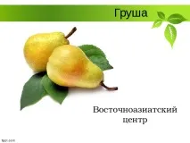 Селекція рослин – презентація (методи) селекція