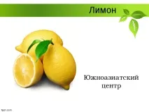 Селекція рослин – презентація (методи) презентація