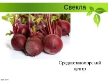 Селекція рослин – презентація (методи) презентація