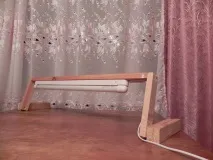 разсад собствените