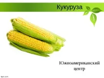 Селекція рослин – презентація (методи) презентація