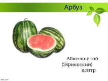 Селекція рослин – презентація (методи) презентація