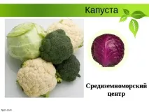 Селекція рослин – презентація (методи) презентація