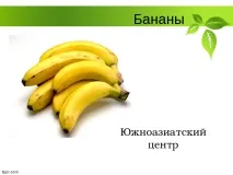 Селекція рослин – презентація (методи) селекція
