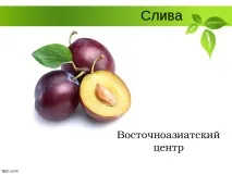 Селекція рослин – презентація (методи) рослин