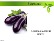 Селекція рослин – презентація (методи) селекція