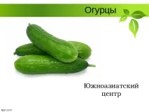 Селекція рослин – презентація (методи) рослин