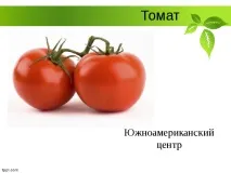 Селекція рослин – презентація (методи) рослин