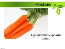 Селекція рослин – презентація (методи) рослин