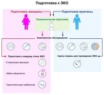 З чого розпочати підготовку до ЕКЗ розпочати
