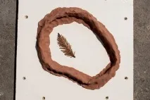 правим рисунка