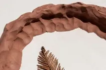 върху върху
