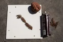 рисунка рисунка