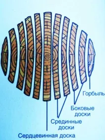 особливості