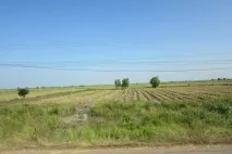Екскурсія з Паттайї до Камбоджі. Камбоджі