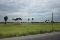 Екскурсія з Паттайї до Камбоджі. Камбоджі
