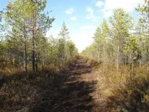 Двохтижнева втеча від родини, на рибалку в ХМАО родини