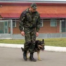 кучета обучение