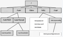 Файлова система ОС Linux linux