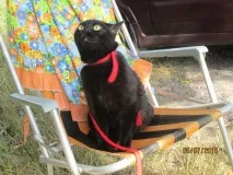 света повече