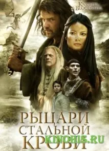 исторически рицари