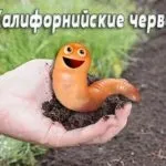 консумация инструкции