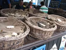 Франція, Бретань 2 дні у Сен-Мало, Канкалі, Ванні та Карнаці, DutyFreezzz карнаці