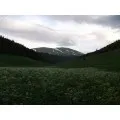 пшехо-су