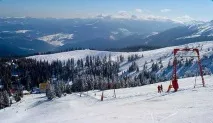 цени красия