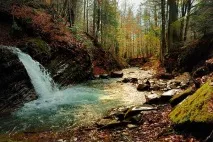 красия красия