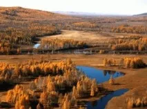 вола петела
