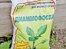 групи превръзка