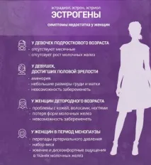 естроген хормонът